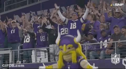 A Mascot Is Standing In Front Of A Crowd Of Fans . GIF