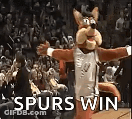 A Mascot Is Standing On A Basketball Court With The Words `` Spurs Win '' Written On It . GIF