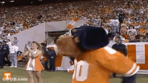 A Mascot Is Standing On A Football Field With A Cheerleader . GIF