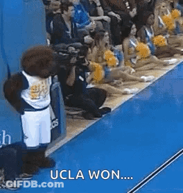 A Mascot Is Standing On The Sidelines Of A Basketball Game With Cheerleaders . GIF