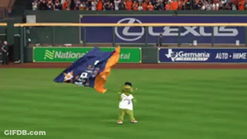 A Mascot Is Waving A Champions Flag On A Baseball Field GIF