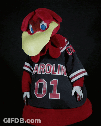 A Mascot Is Wearing A Jersey That Says Carolina 01 On It GIF