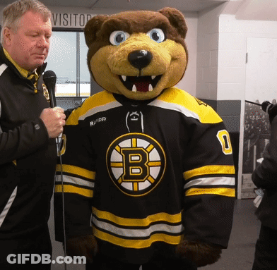 A Mascot Wearing A Black And Yellow Jersey With The Letter B On The Front GIF