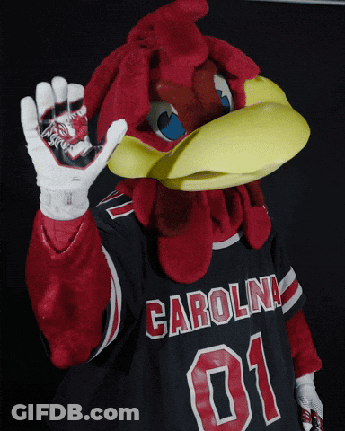 A Mascot Wearing A Carolina 01 Jersey And Gloves GIF