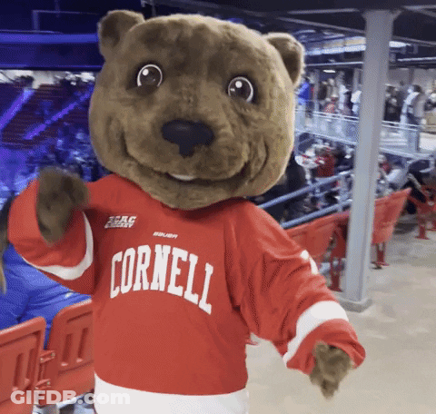 A Mascot Wearing A Cornell Jersey Stands In A Stadium GIF