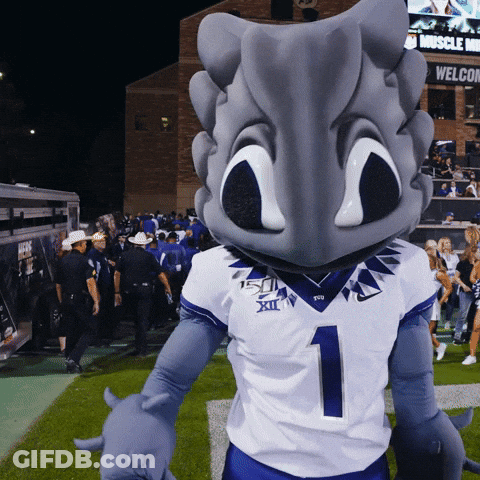 A Mascot Wearing A Number 1 Jersey Stands On The Field GIF