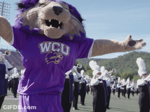 A Mascot Wearing A Purple Wcu Shirt Stands In Front Of A Marching Band GIF