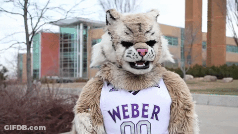 A Mascot Wearing A Weber Jersey With The Number 00 On It GIF