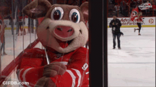 A Mascot With The Number 9 On The Back Of His Shirt GIF