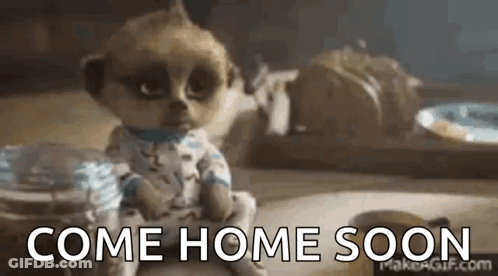 A Meerkat Doll Is Sitting On A Table And Says `` Come Home Soon '' . GIF