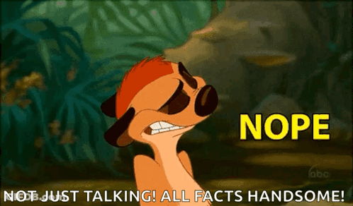 A Meerkat From The Lion King Is Saying Nope GIF