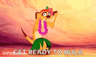 A Meerkat From The Lion King Is Wearing A Hula Skirt And A Lei And Is Ready To Hula . GIF