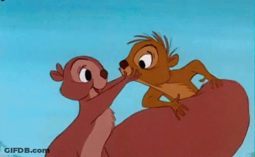 A Meerkat Is Kissing Another Meerkat On The Cheek . GIF