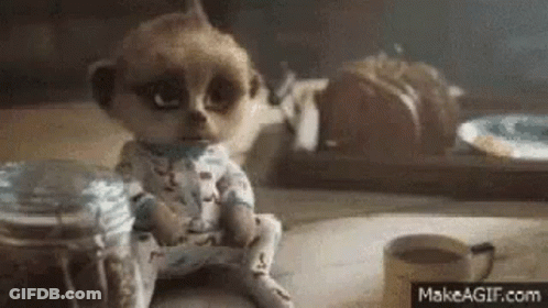 A Meerkat Is Sitting On A Table Next To A Cup Of Coffee And A Jar Of Food . GIF