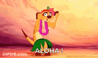 A Meerkat Is Wearing A Lei And A Hula Skirt And Dancing . GIF