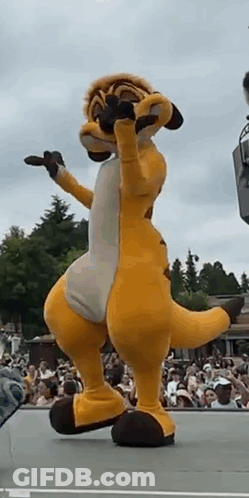 A Meerkat Mascot Is Standing On A Stage In Front Of A Crowd . GIF
