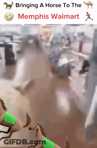 A Meme About Bringing A Horse To The Memphis Walmart GIF