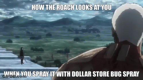 A Meme About How The Roach Looks At You When You Spray It With A Dollar Store Bug Spray GIF