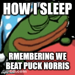 A Meme Of A Frog Sleeping With The Words How I Sleep Remembering We Beat Puck Norris GIF