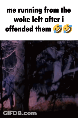 A Meme Of A Person Running From The Woke Left After I Offended Them GIF