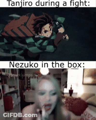 A Meme Of Tanjiro During A Fight Next To A Picture Of Nezuko In The Box GIF