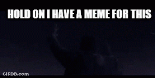 A Meme That Says Hold On I Have A Meme For This On It GIF