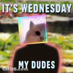 A Meme That Says It 'S Wednesday My Dudes With A Cat On Top GIF