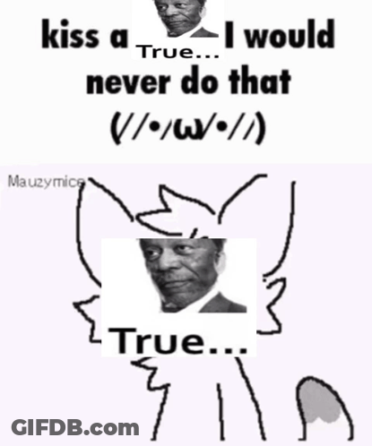 A Meme That Says Kiss A True I Would Never Do That True GIF