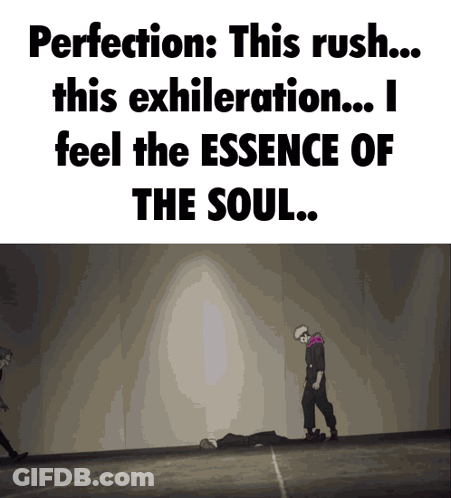 A Meme That Says Perfection This Rush This Exhilaration I Feel The Essence Of The Soul GIF