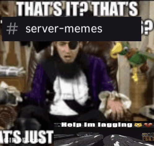 A Meme That Says That 'S It That 'S # Server-Memes It 'S Just Help I 'M Lagging GIF
