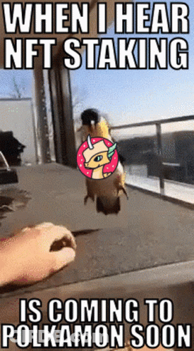 A Meme That Says When I Hear Nft Staking Is Coming To Polkamon Soon GIF