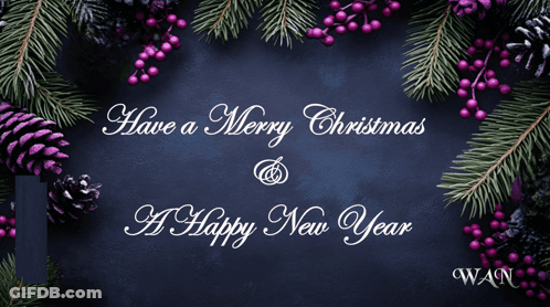 A Merry Christmas And A Happy New Year Card With Pine Cones And Berries GIF