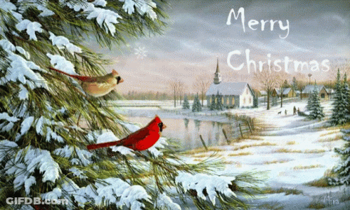 A Merry Christmas Card With Two Cardinals In A Snowy Scene GIF