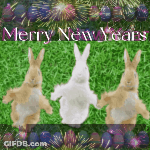 A Merry New Year Greeting Card With Three Rabbits And Fireworks In The Background GIF