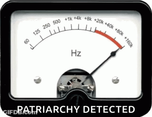 A Meter With The Word Patriarchy Detected On It GIF