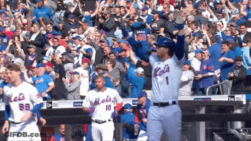 A Mets Baseball Player Stands In Front Of A Crowd With His Arms In The Air GIF