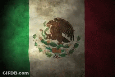 A Mexican Flag With A Eagle And Snake On It GIF