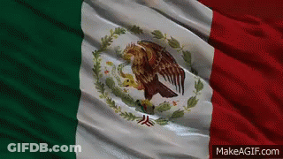 A Mexican Flag With An Eagle On It Is Waving In The Wind GIF