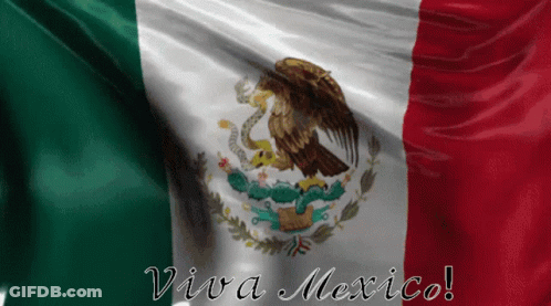 A Mexican Flag With The Words Viva Mexico Written On It GIF