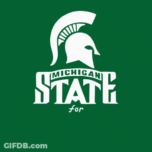 A Michigan State For Voting Rights Logo On A Green Background GIF