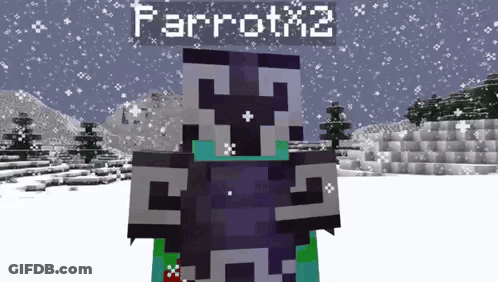 A Minecraft Character Named Parrotx2 Is Standing In A Snowy Area GIF