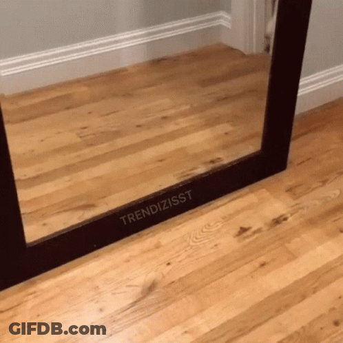 A Mirror On A Wooden Floor Has The Word Trendizisst Written On It GIF