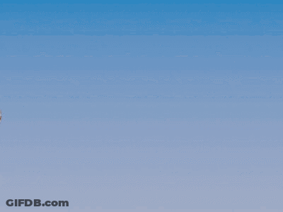 Mirror With Girl And Wings Reflection GIF
