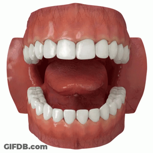 A Model Of A Person 'S Teeth With Their Tongue Sticking Out GIF