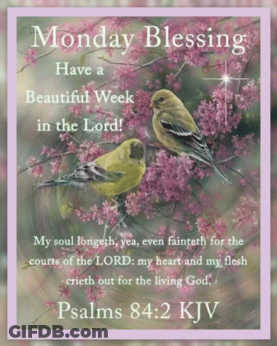 A Monday Blessing With Two Birds On A Branch With Pink Flowers GIF