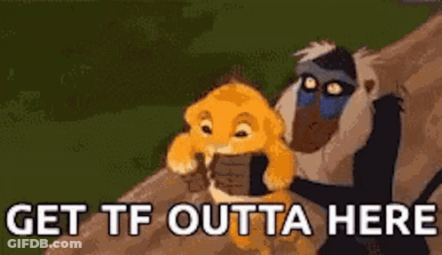 A Monkey And A Lion From The Lion King Are Standing Next To Each Other On A Rock . GIF