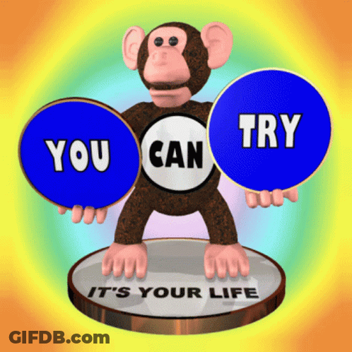 A Monkey Holding A Blue Circle That Says " You Can Try " GIF