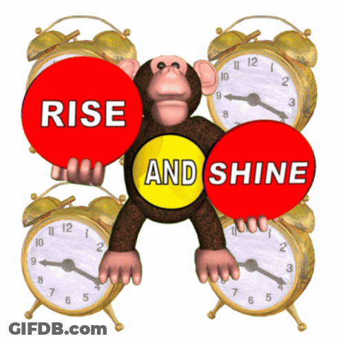 A Monkey Holding A Sign That Says Rise And Shine Surrounded By Alarm Clocks GIF