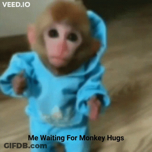 A Monkey In A Blue Hoodie Is Waiting For A Monkey Hug GIF