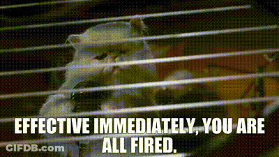 A Monkey In A Cage With The Words `` Effective Immediately , You Are All Fired '' Written On It . GIF
